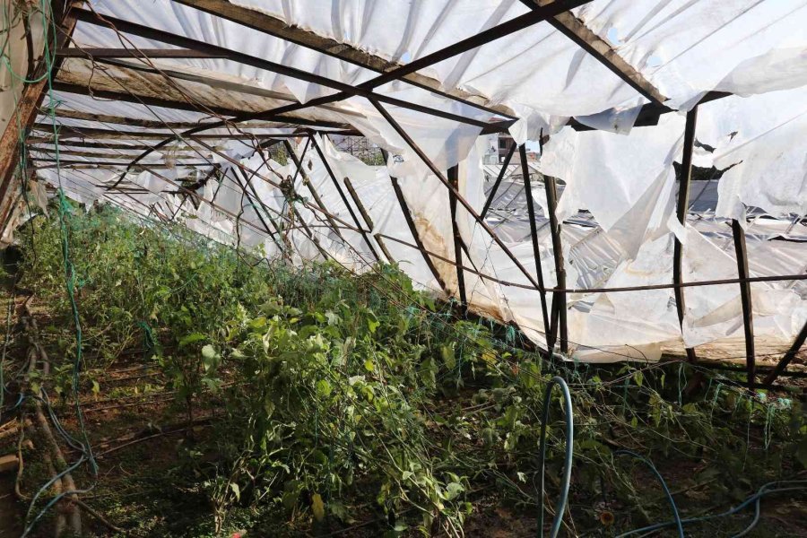 Alanya’da Dolu Yağışı Seralarda Hasara Yol Açtı