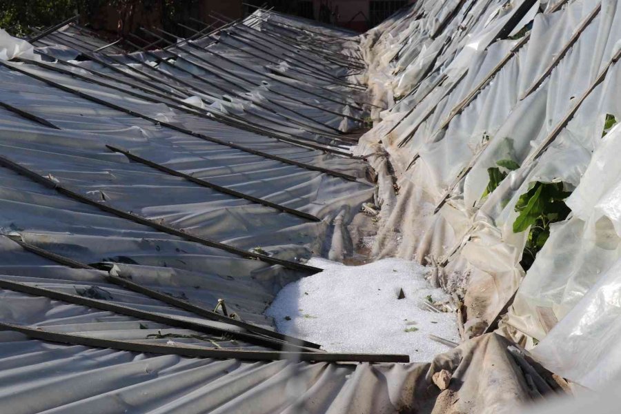 Alanya’da Dolu Yağışı Seralarda Hasara Yol Açtı