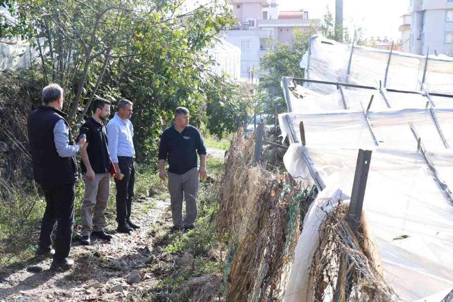 Alanya’da Dolu Yağışı Seralarda Hasara Yol Açtı