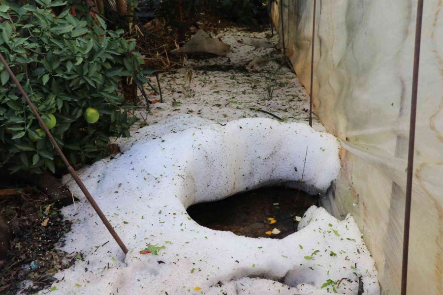 Alanya’da Dolu Yağışı Seralarda Hasara Yol Açtı