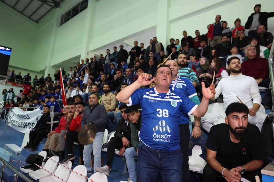 Axa Sigorta Efeler Ligi