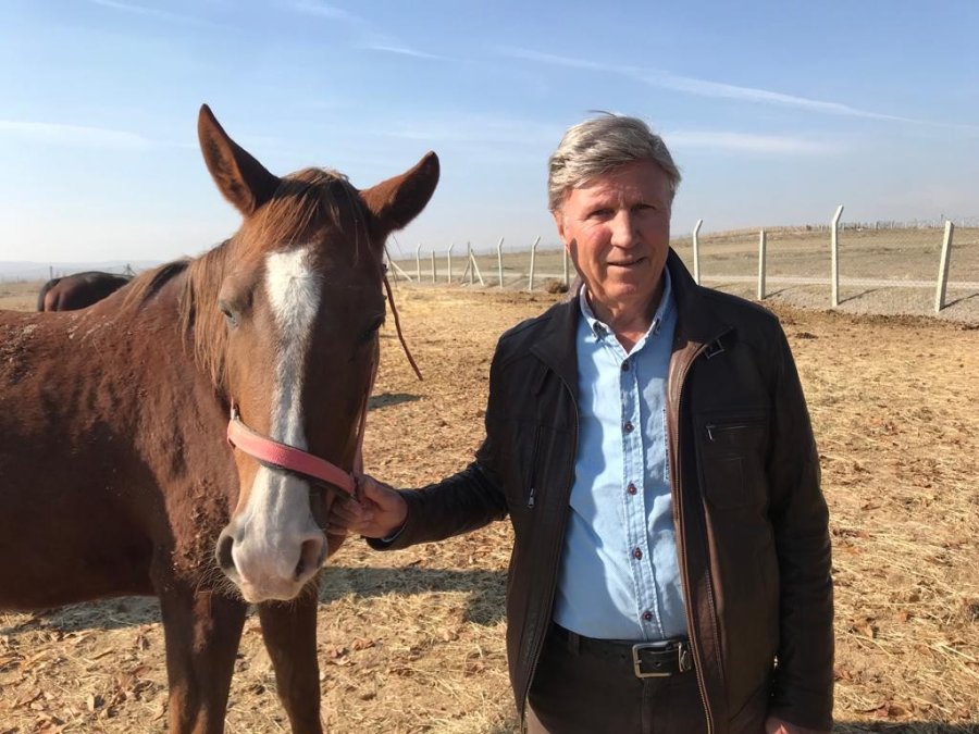 Soğuk Havalarda Milyonluk Atlara Böyle Bakıyorlar
