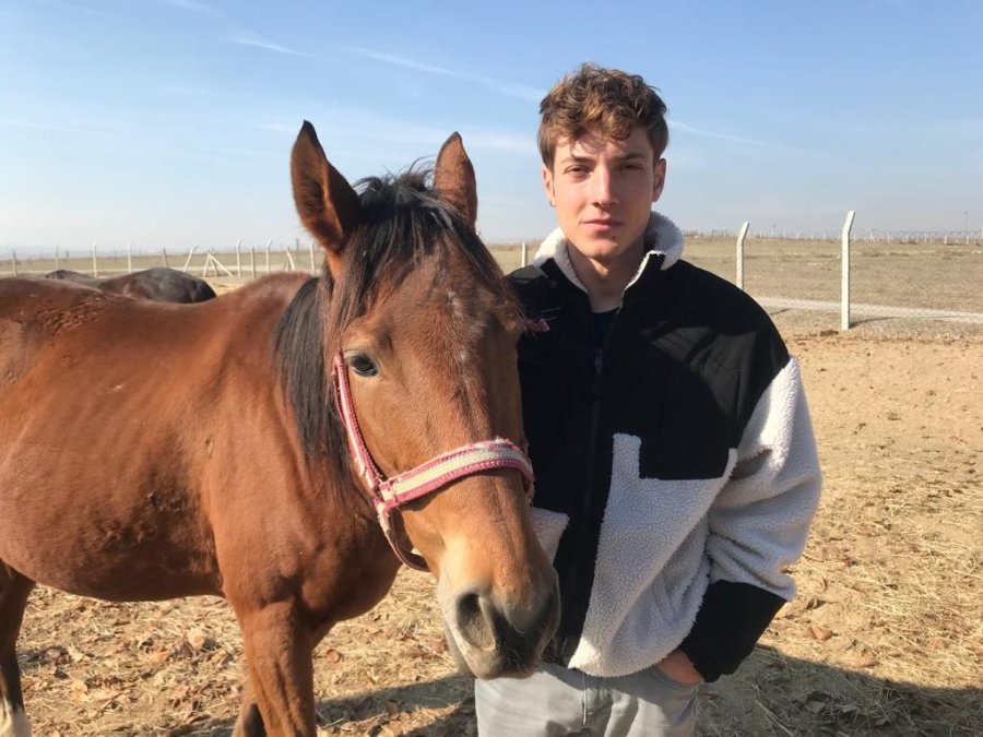 Soğuk Havalarda Milyonluk Atlara Böyle Bakıyorlar