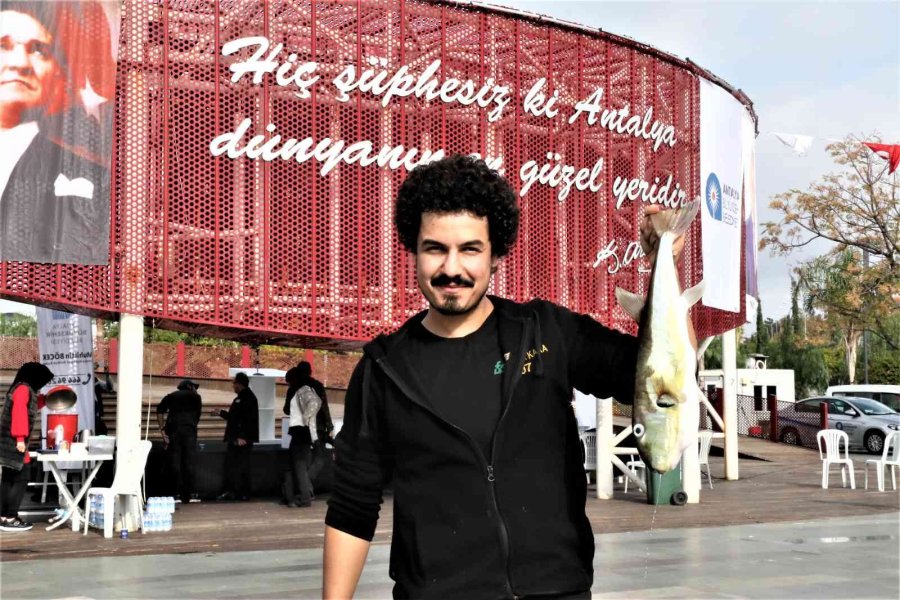 Balıkçılar, Korkulu Rüyası Haline Gelen Balon Balığını Yakalamak İçin Yarıştı