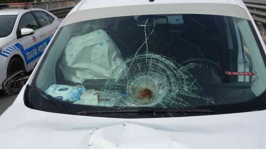 Kalbi Duran İrlandalı Kadın, Att’lerin Kalp Masajıyla Hayata Tutundu