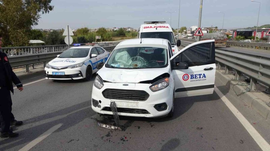 Kalbi Duran İrlandalı Kadın, Att’lerin Kalp Masajıyla Hayata Tutundu