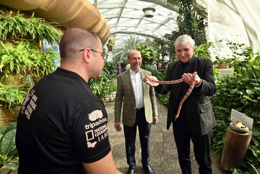 Tropikal Kelebek Bahçesi Misafirlerden Tam Not Aldı