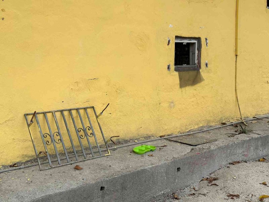 Kedi Girdi Sandılar, Hırsız Olduğunu Anlayınca Neye Uğradığını Şaşırdılar