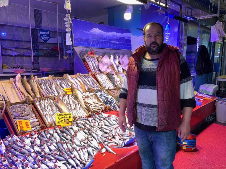 Hamsi Tezgâhları Şenlendirmeye Başladı