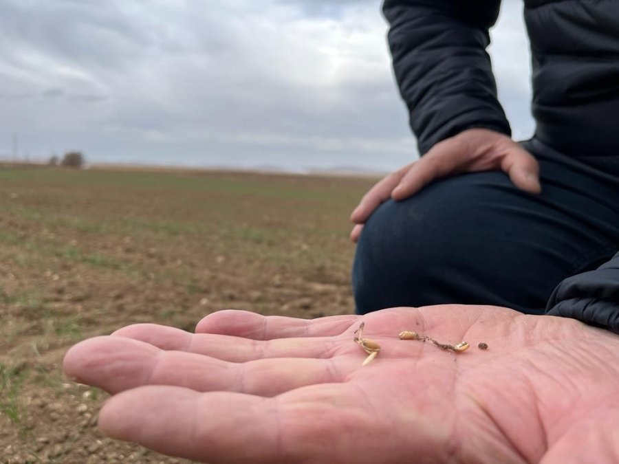 Çiftçi Can Suyu Bekliyor