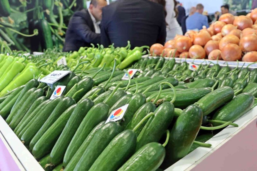 Örtü Altı Tarımın Kalbi Antalya’da Growtech İle Atıyor