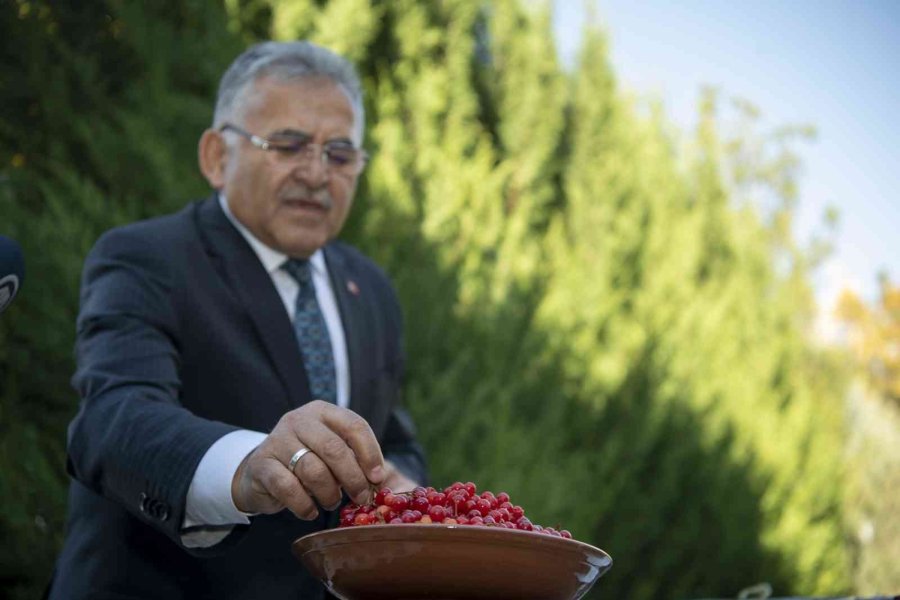 Doktor Başkan’dan Sağlık İçin Gilaburu Tavsiyesi