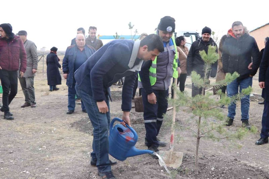 Çifteler’de Sağlık Şehitleri Adına Hatıra Ormanı