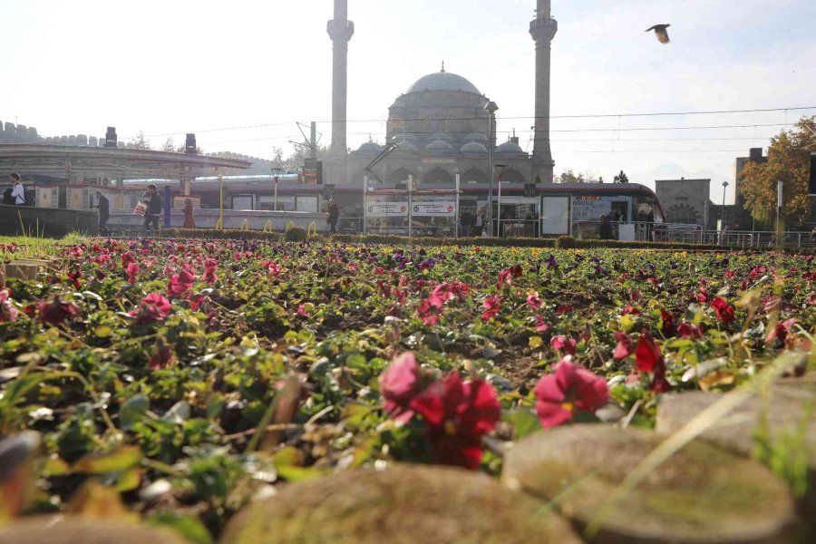 Büyükşehir, Peyzaj Çalışmaları İle Kent Estetiğini Artırıyor