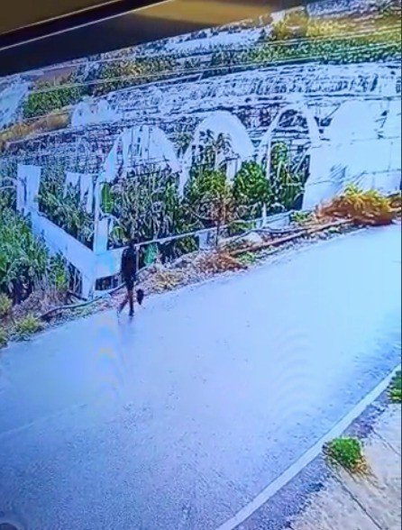 Dalgıçlar 21 Yaşındaki Sedanur’u Bulabilmek İçin Denizde Arama Yaptı