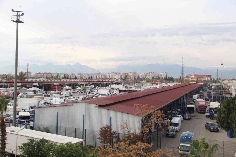 Örtü Altı Üretim Üssü Antalya’da, 2022-2023 Hal Sezonu Açıldı