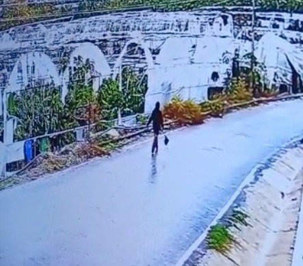 Kayıp Genç Kız İçin Başlatılan Arama Çalışmaları Sonuçsuz Kaldı