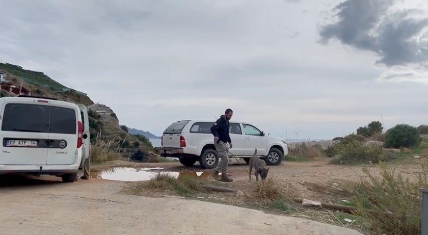 Kayıp Sedanur İçin Özel Eğitimli Köpekler Devrede