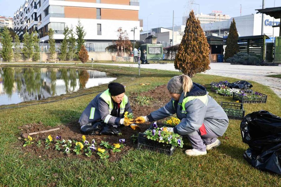 Tepebaşı Çiçekler İle Güzelleşiyor