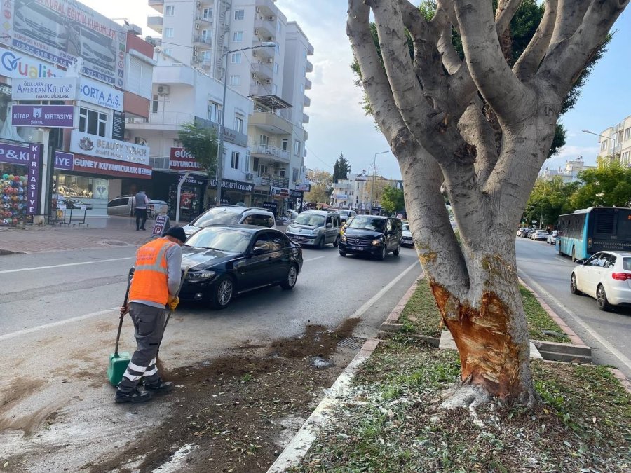 Ağaca Çarparak Durabilen Lüks Otomobil Hurdaya Döndü