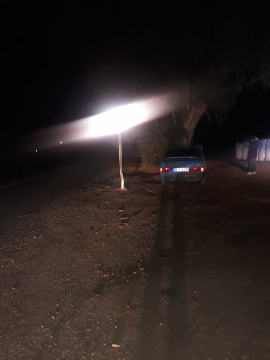 Ağaca Çarpan Otomobil Sürücüsü Ölümden Döndü