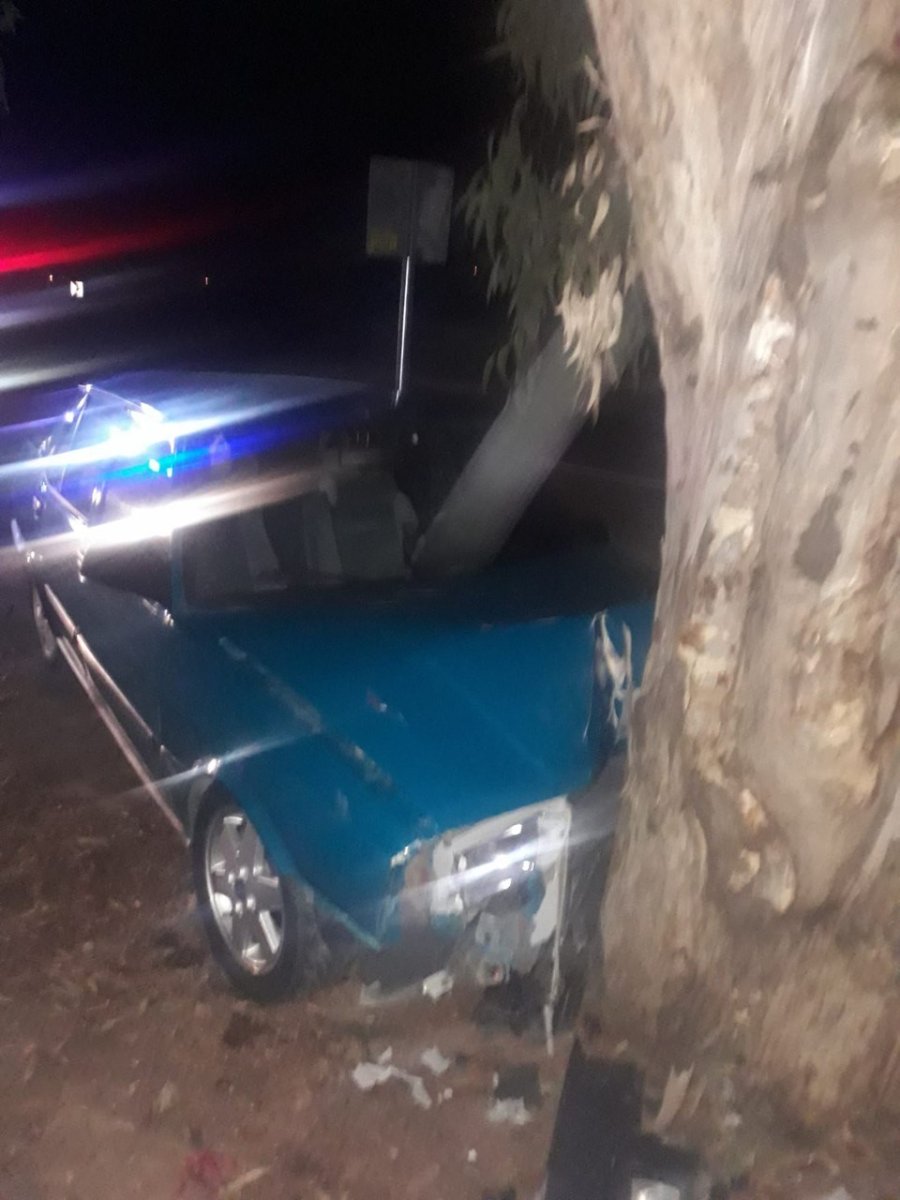 Ağaca Çarpan Otomobil Sürücüsü Ölümden Döndü