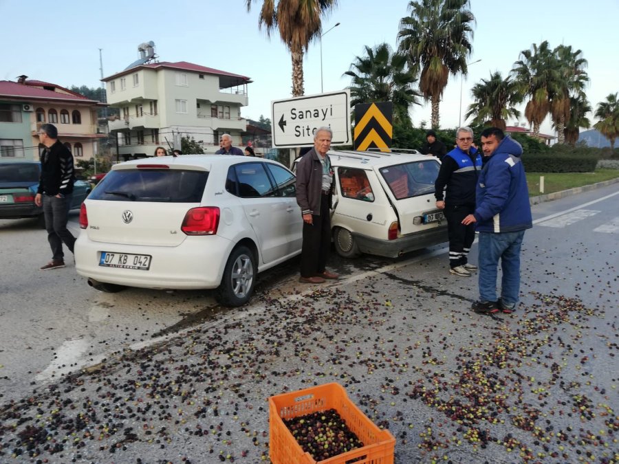 Gazipaşa’da İki Otomobil Çarpıştı: Zeytinler Yola Savruldu