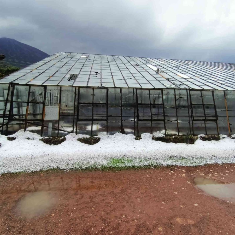 Antalya’da Dolu, Portakal Bahçelerine Ve Seralara Zarar Verdi
