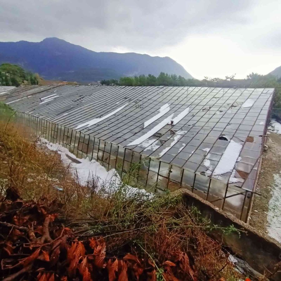 Antalya’da Dolu, Portakal Bahçelerine Ve Seralara Zarar Verdi