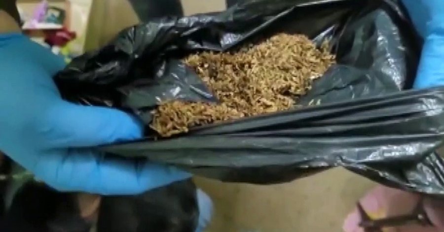 Uyuşturucu Üretilen Eve Narkotikten Baskın