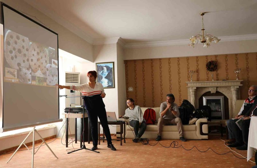 Tozlaştırıcı Arılarla Daha Sağlıklı Ve Daha Fazla Tarımsal Üretim Yapılacak