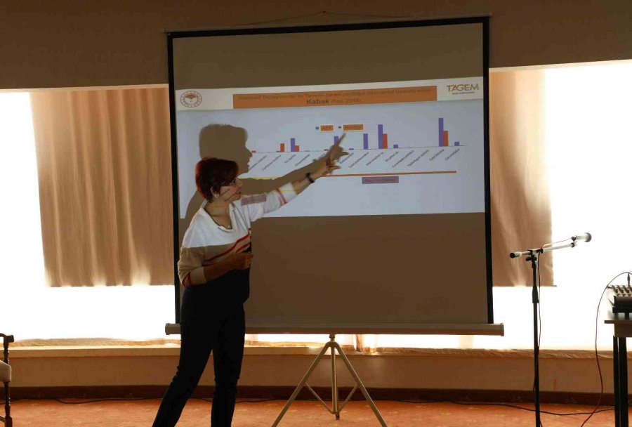 Tozlaştırıcı Arılarla Daha Sağlıklı Ve Daha Fazla Tarımsal Üretim Yapılacak