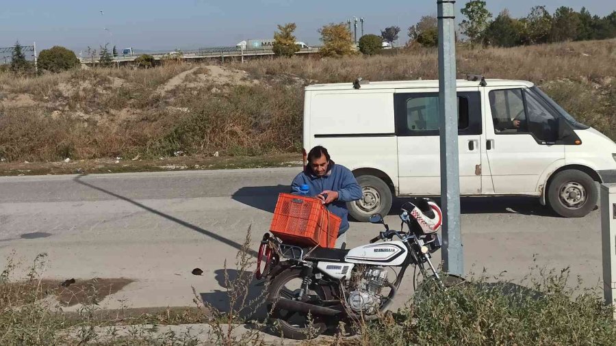 Köpekleri Beslemek İçin 4 Ayda 5 Bin Kilometre Yol Yaptı