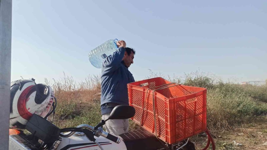 Köpekleri Beslemek İçin 4 Ayda 5 Bin Kilometre Yol Yaptı