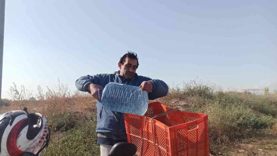 Köpekleri Beslemek İçin 4 Ayda 5 Bin Kilometre Yol Yaptı