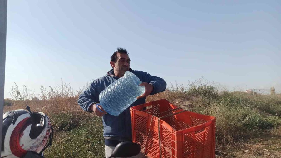 Köpekleri Beslemek İçin 4 Ayda 5 Bin Kilometre Yol Yaptı