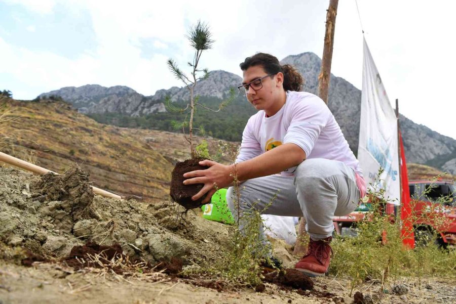 Konyaaltı’nda Çocukların Ağaç Dikme Heyecanı