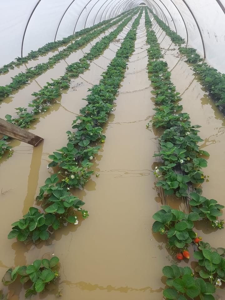 Antalya’da Sağanak Yağmur Hayatı Felç Etti