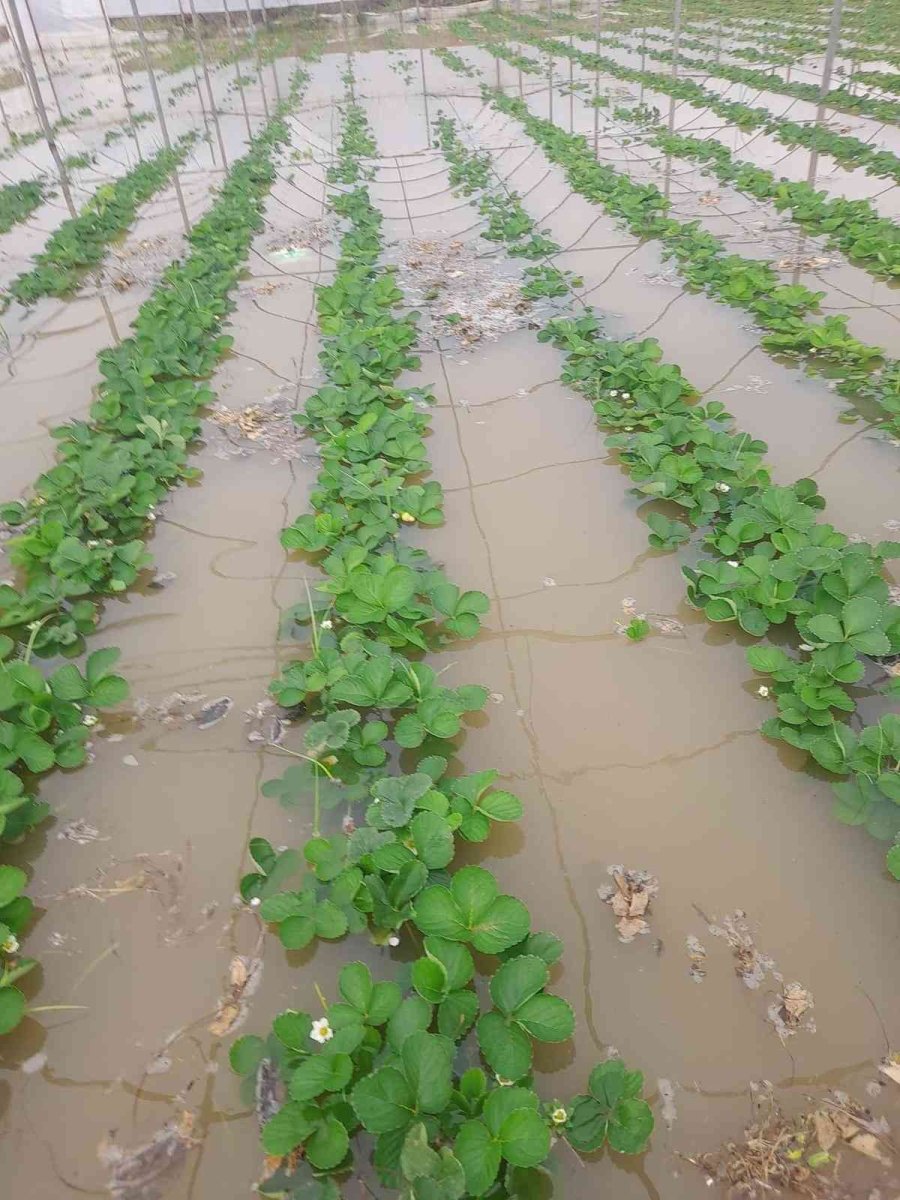 Antalya’da Sağanak Yağmur Hayatı Felç Etti
