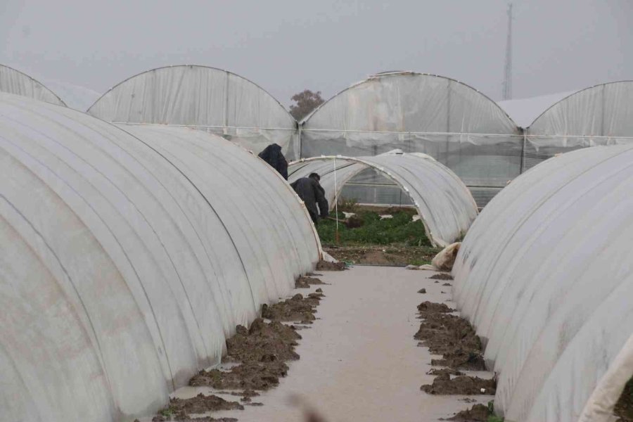 Antalya’da 1 Saat Etkili Olan Sağanak Yağışta Çilek Seraları Sular İçinde Kaldı