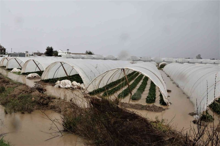 Antalya’da 1 Saat Etkili Olan Sağanak Yağışta Çilek Seraları Sular İçinde Kaldı
