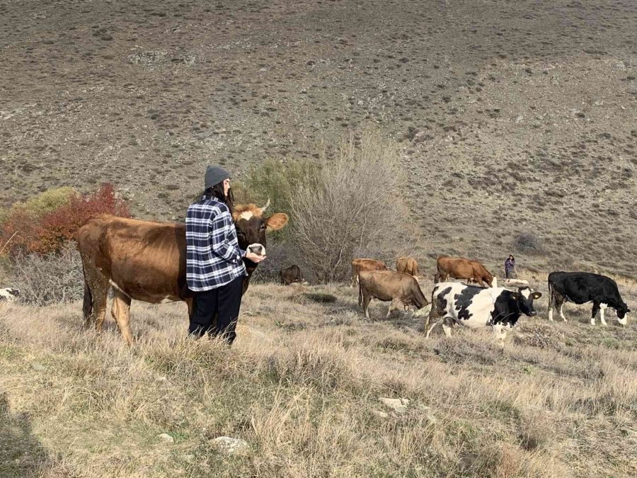 Ailesi Evlenip Gitmesini Beklerken, O Babasının İşini Devralıp Sütçülüğe Başladı