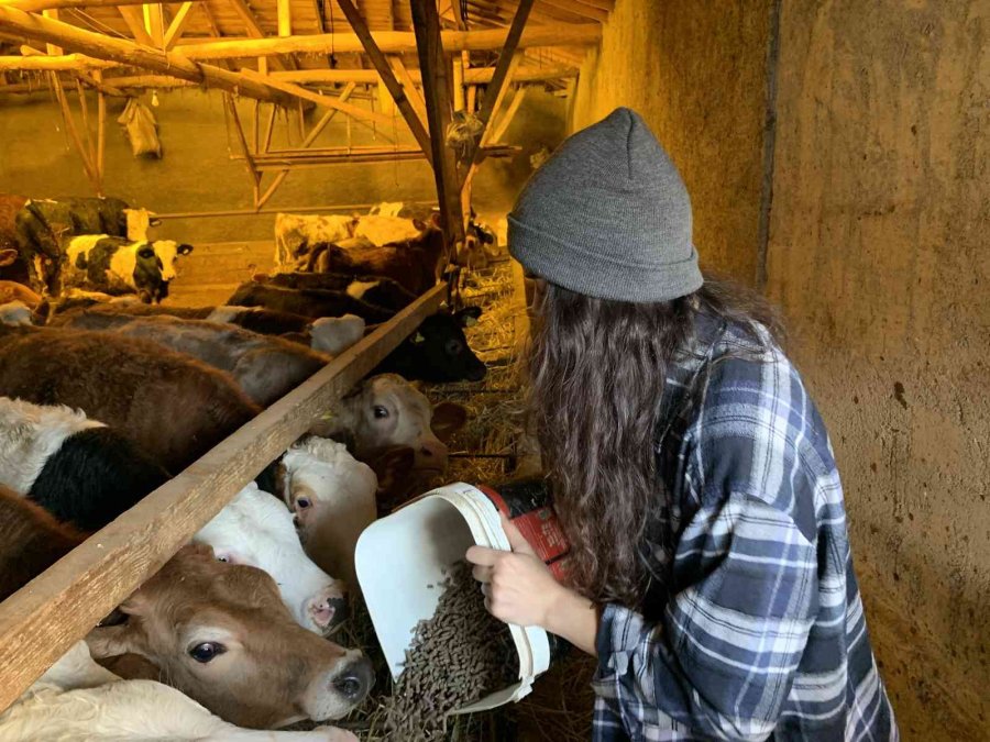 Ailesi Evlenip Gitmesini Beklerken, O Babasının İşini Devralıp Sütçülüğe Başladı