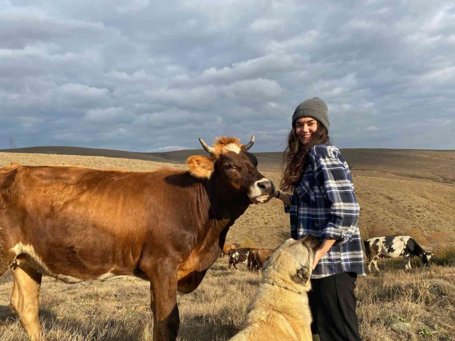 Ailesi Evlenip Gitmesini Beklerken, O Babasının İşini Devralıp Sütçülüğe Başladı