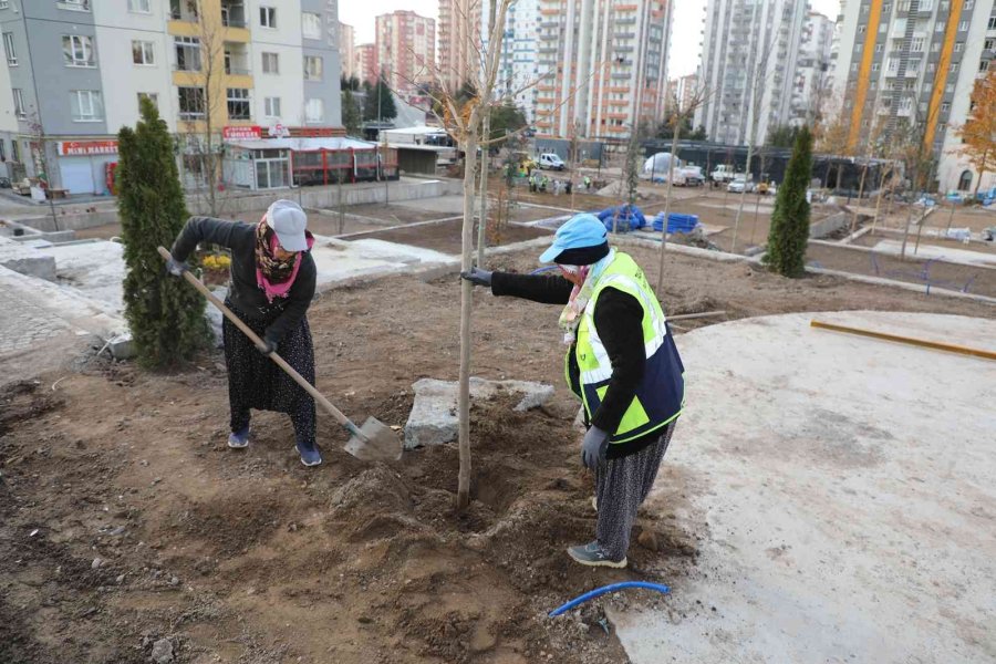 Mevlana Meydanı Ağaçlandırılıyor
