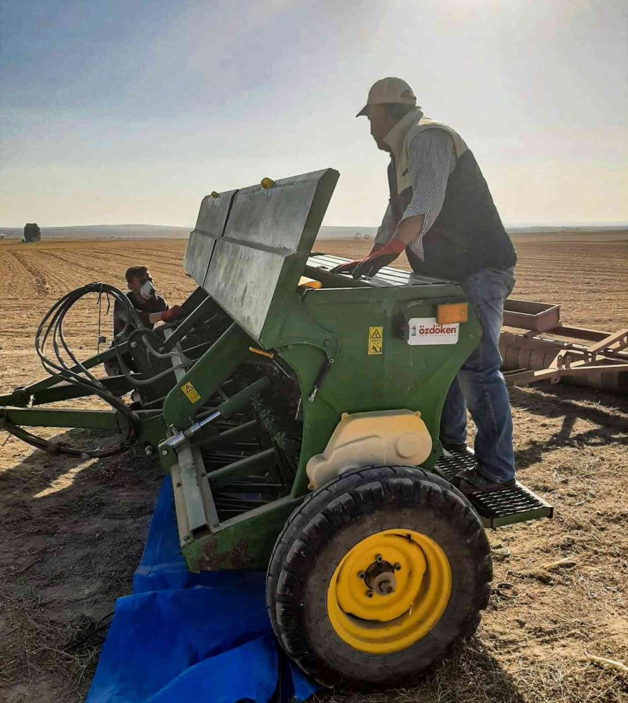 Eskişehir’de 44 Çeşit Yerli Ve Milli Tohum Yeşerecek