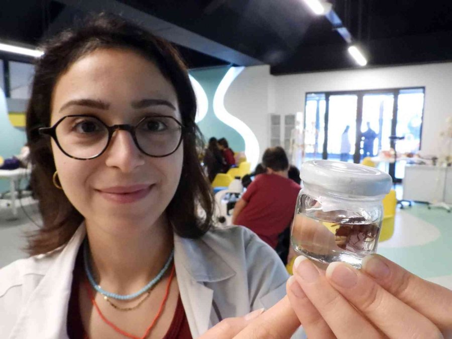 Bilim Merkezinde Öğrenciler Dokuları İnceliyor