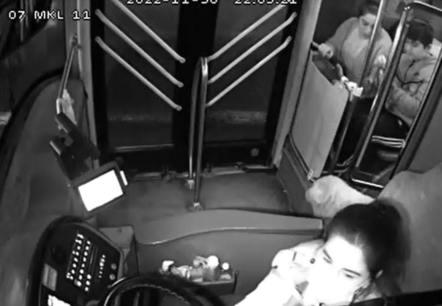 Yağmurdan Kaçarak Halk Otobüsüne Sığınan Köpek Yolcularla Seyahat Etti