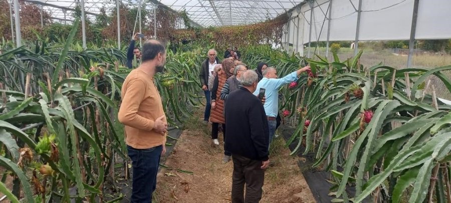 Sarıcakaya Tarım Çiftçileri Antalya’da