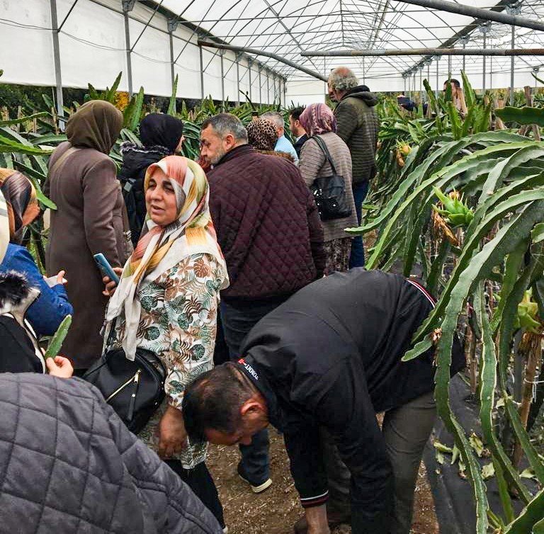 Sarıcakaya Tarım Çiftçileri Antalya’da